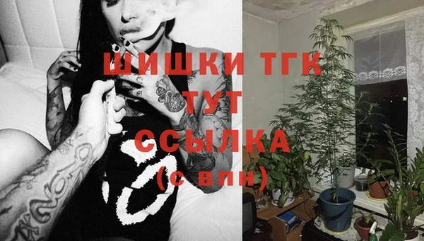 стаф Апатиты