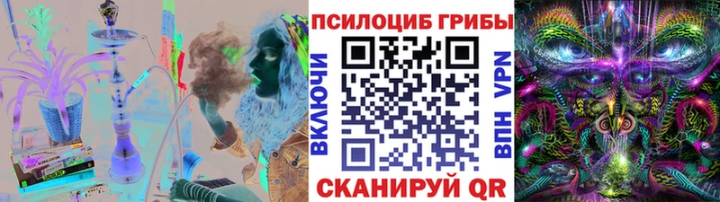 как найти наркотики  Богородицк  Галлюциногенные грибы MAGIC MUSHROOMS 