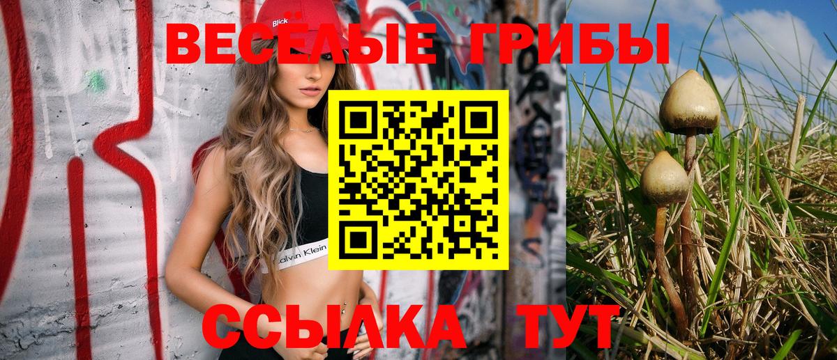 Галлюциногенные грибы Cubensis Богородицк